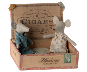 Mum and dad mice in cigarbox