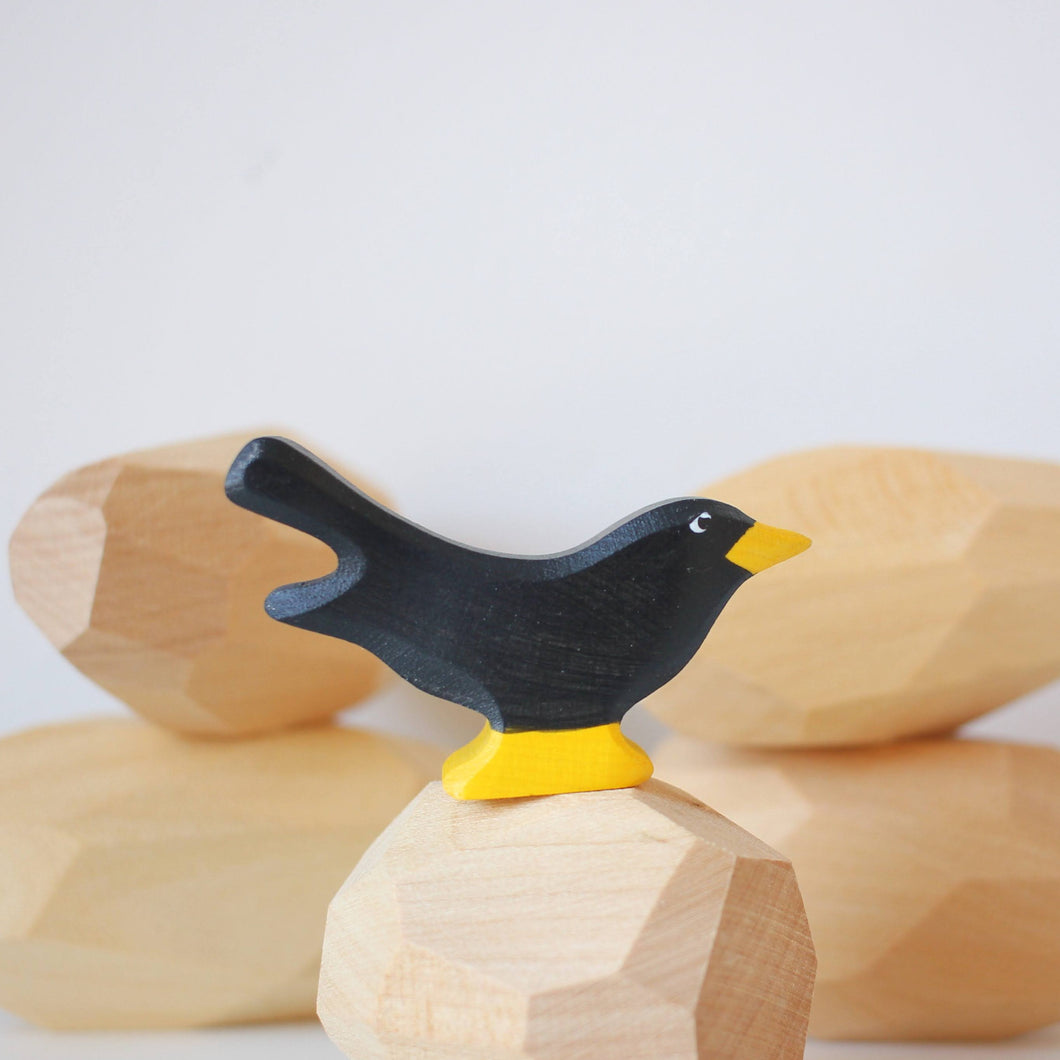 Holztiger - Blackbird